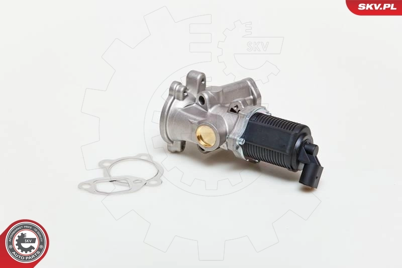 EGR Valve
